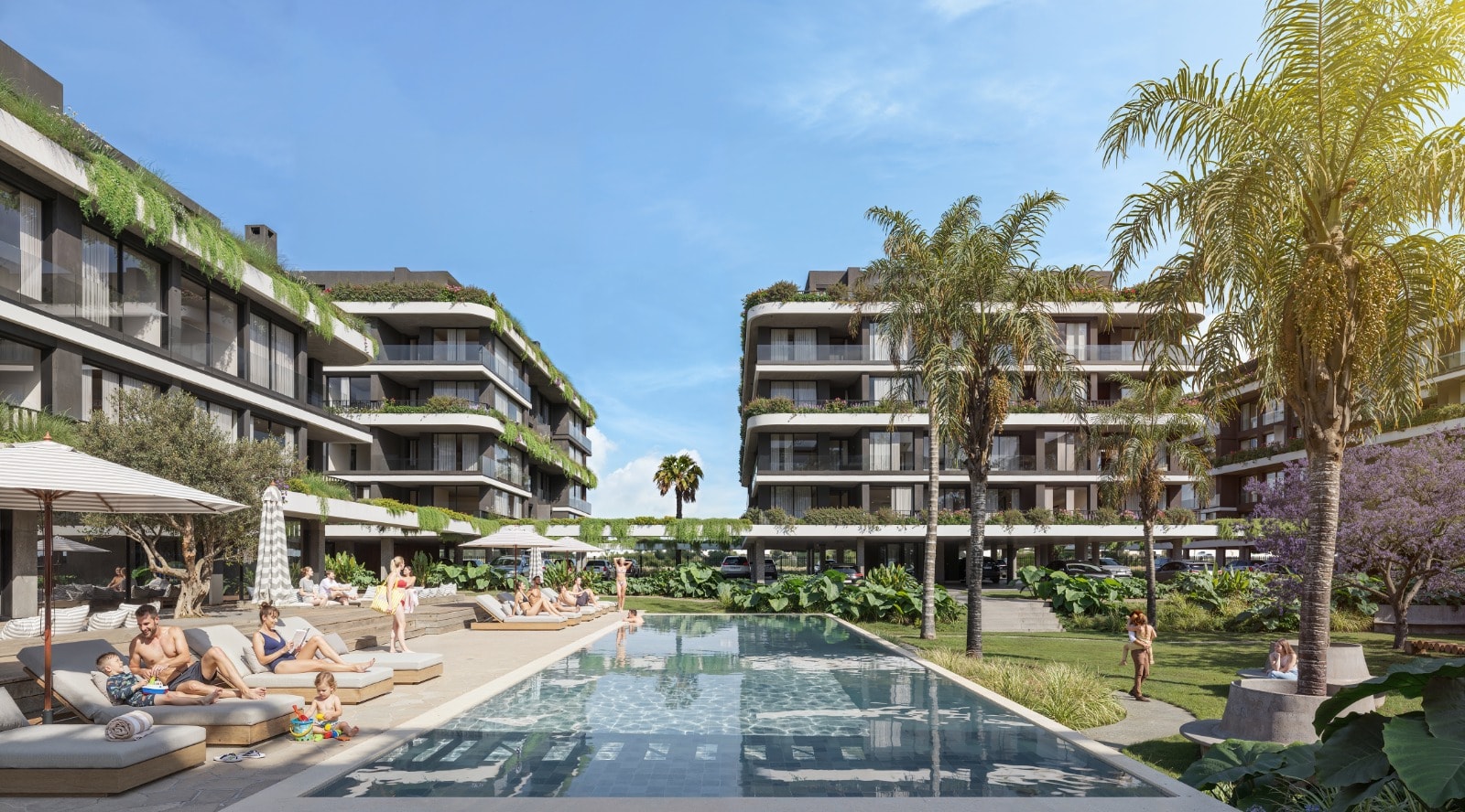 Amenities Orionis